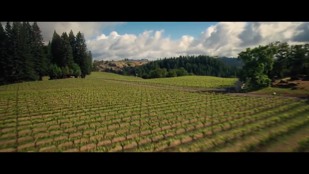 André The Voice of Wine - Official Trailer