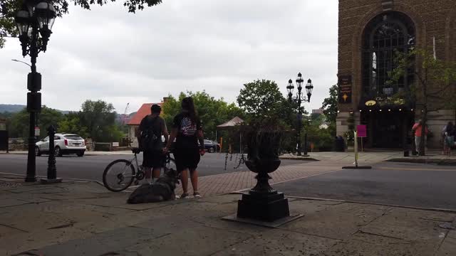 Doylestown Dog Trainers ||| Native American Indian Dog Trainers ||| 10 Month Old NAID, Kai