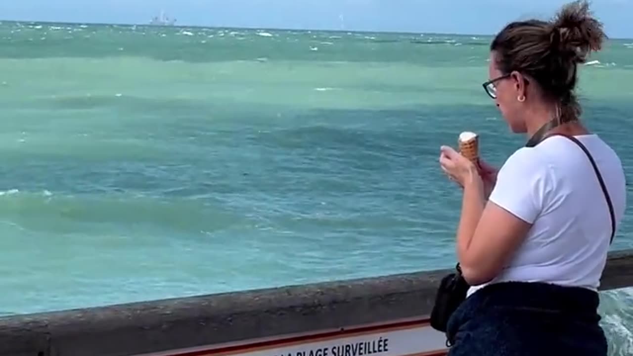 HOW A BIRD SNATCHED ICE CREAM FROM A WOMAN ON BOAT