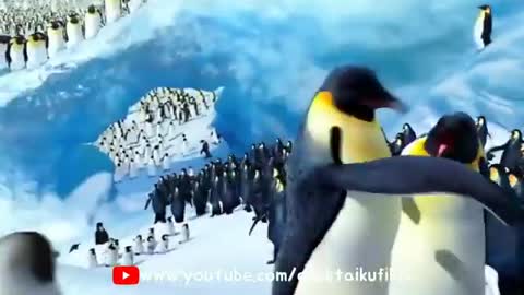 PENGUIN DANCE LUCU | GOYANG PENGUIN NEW