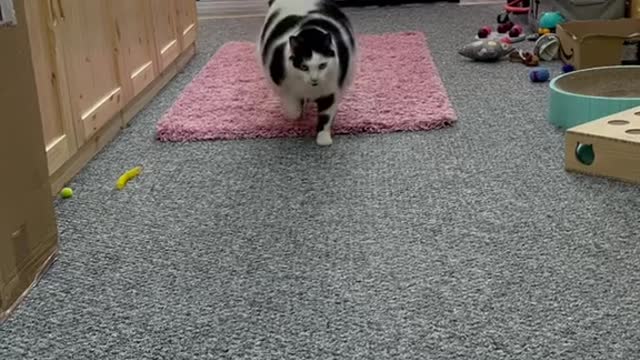 I can hear that sound from a mile away!!