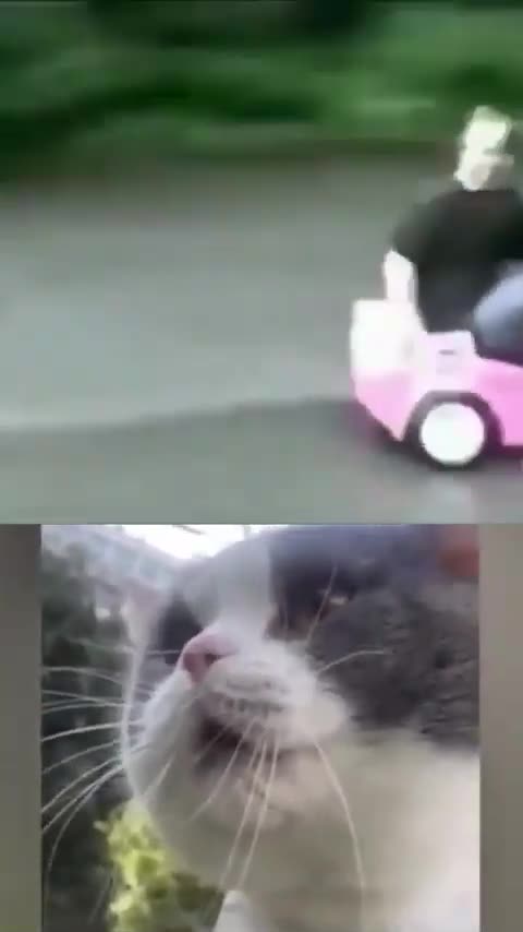 420's CLIP OF THE DAY OCTOBER 25, 2024