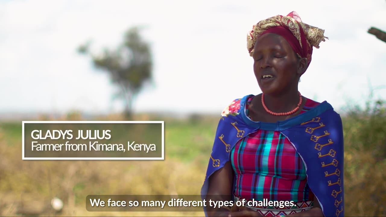 Conservation of wildlife- how can insurance help