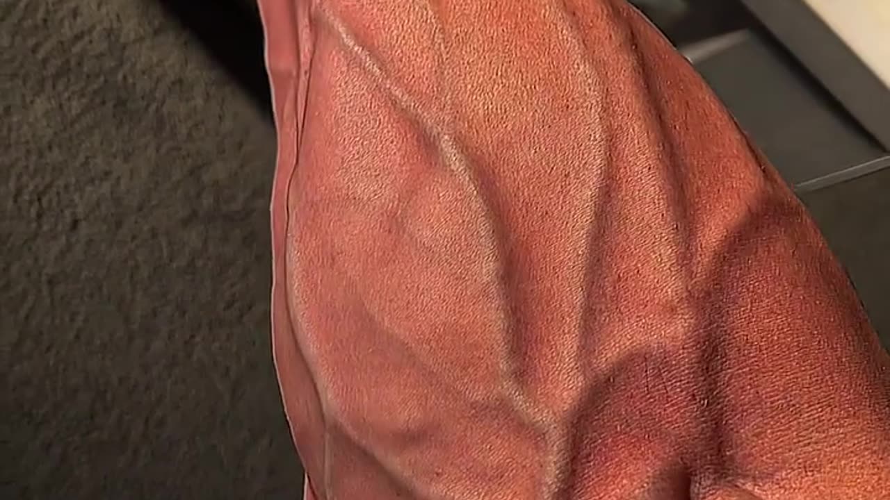 Hand vines 💪💪✌