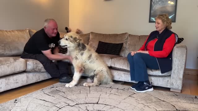 Who Does Phil Love More Excited Dog Finally Reunited With Grandparents!! (He Cries!!)