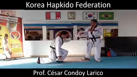 Hapkido