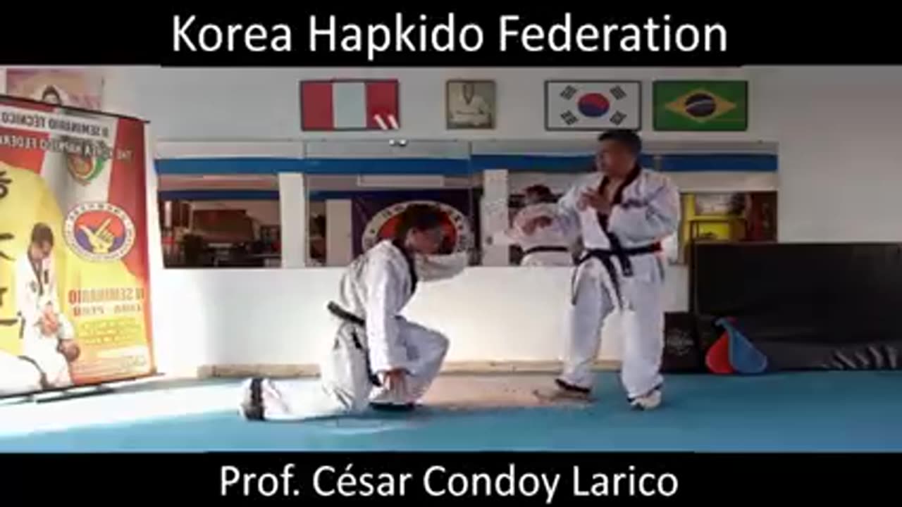Hapkido