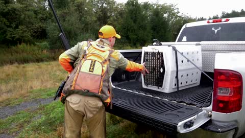 Hunting With a Top Bird Dog - Deutsch-Drahthaar