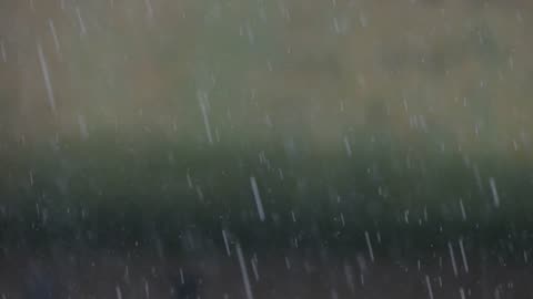 Rain Noise