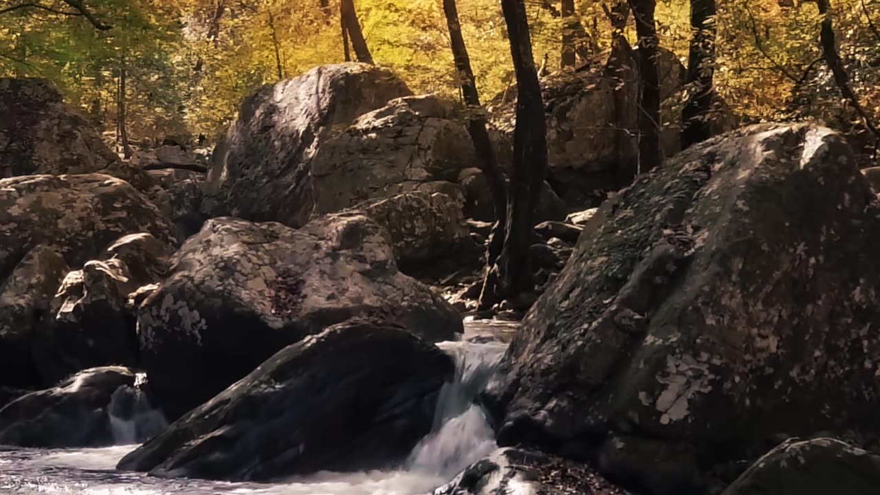 NATURE FEEL OSM