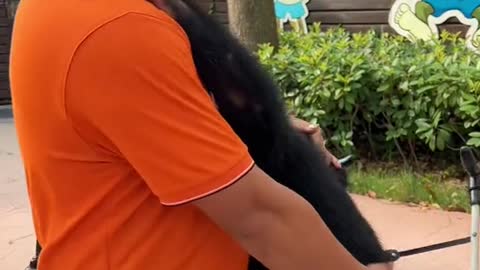 Don't cuddle dad at the zoo