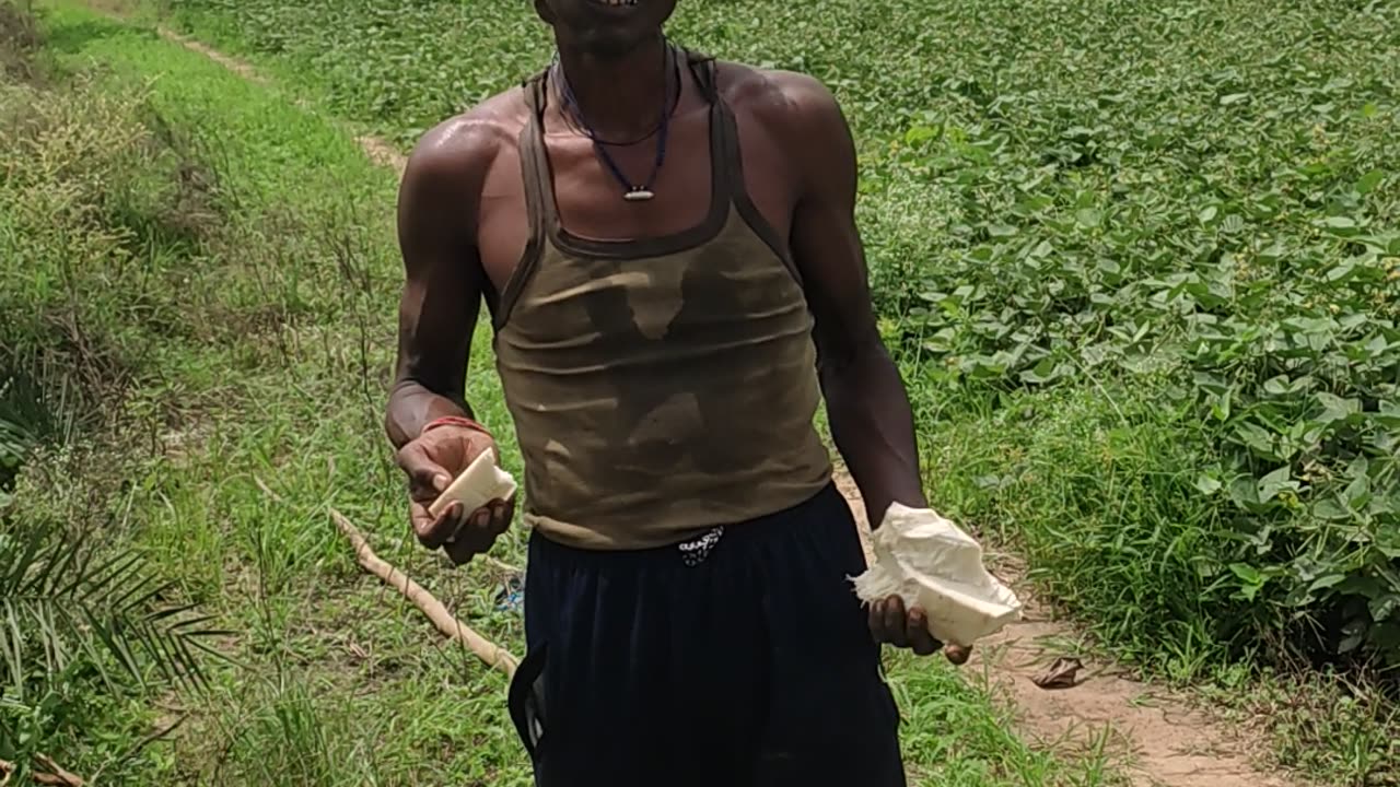 snatched village