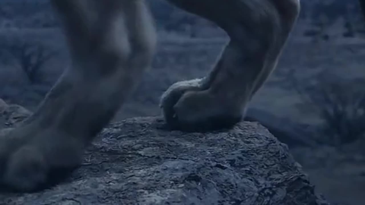 The lion king short clip