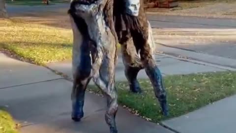 Creepy Costumes