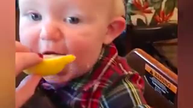 Cute Baby Eating Lemon For The First Time