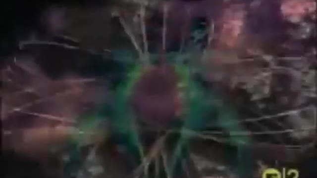 Snap! - Rhythm Is A Dancer