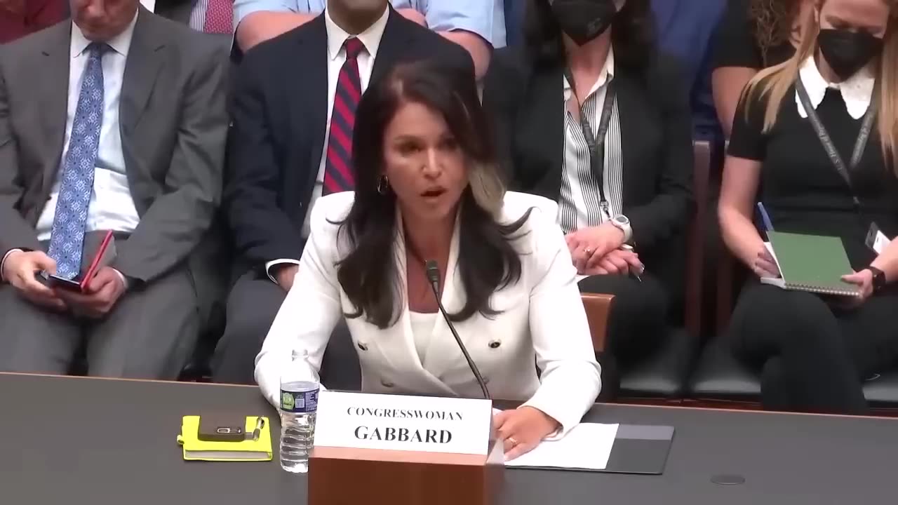 Tulsi Gabbard - Trump's DNI Grabs The Mic And Destroys Entire Democrats In Brilliant Speech