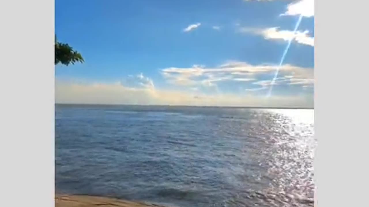 late afternoon , How sweet!