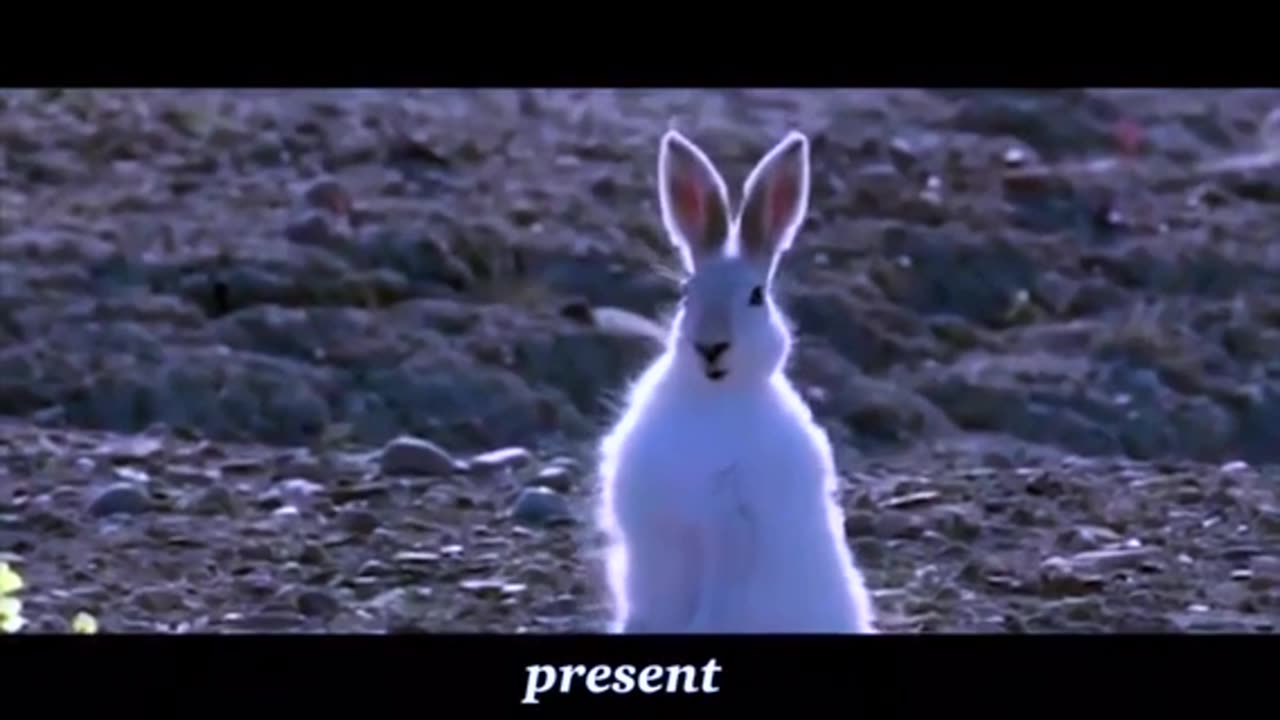 Throwback | Isaac Kappy (The Present 🎁)