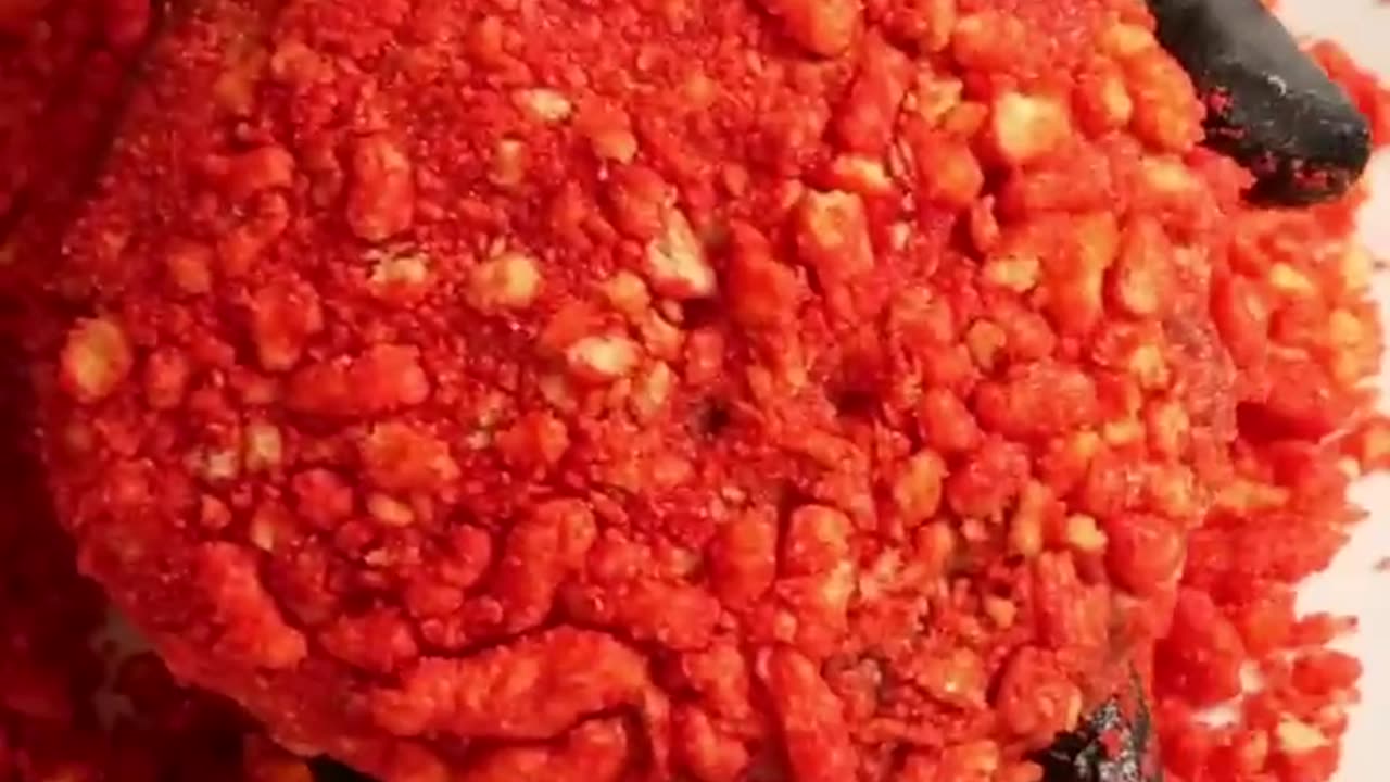 Cheetos hamburger
