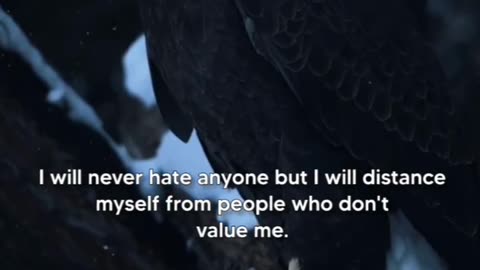 I will never hate everyone