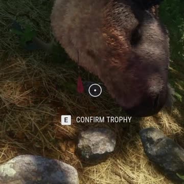 Right in the Head Hunter Call of the Wild