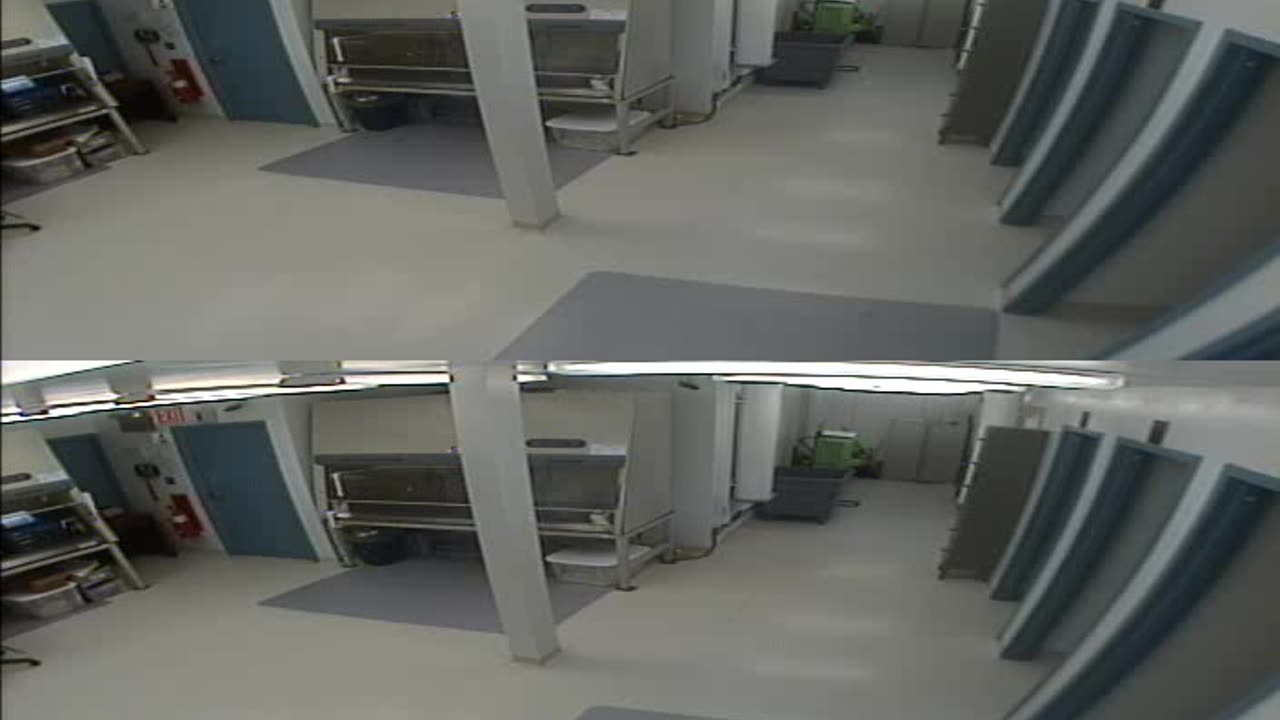 1702CRIB01CribAnalysisArea_2021-01-06_13h00min02s843ms.mp4