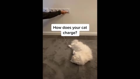 The end 😅 try not to laugh 🤣 funny video