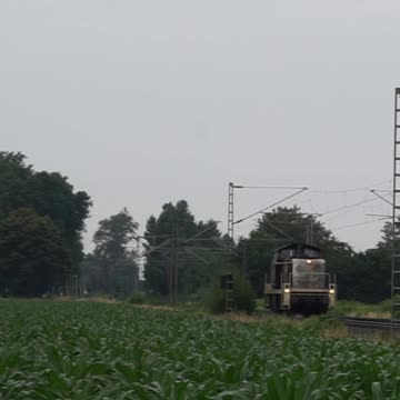 The "Amazing Amelie" 291 034-7