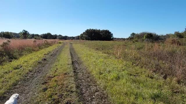 Halpata Tastanaki Nature Preserve Pruitt Entrance Trail Hike and Bike Ride Part 2