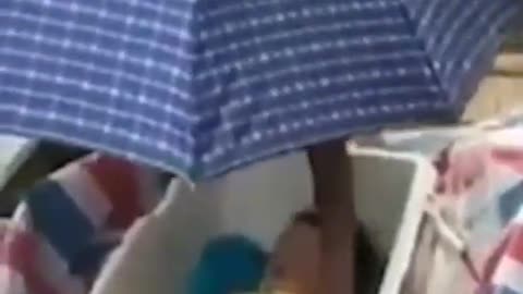 China-Bodies Found In Containers Of Frozen Dead Children For Organ Trafficking