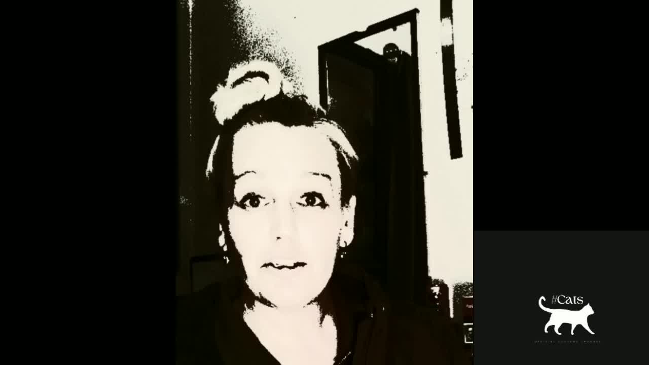 IF I AM MURDERED OR GO TO JAIL WATCH THIS VIDEO