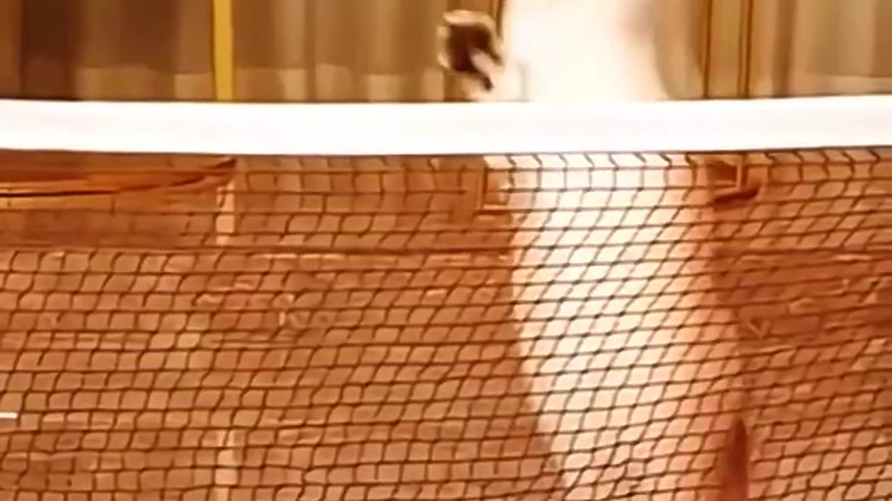 Try not to laugh 😅