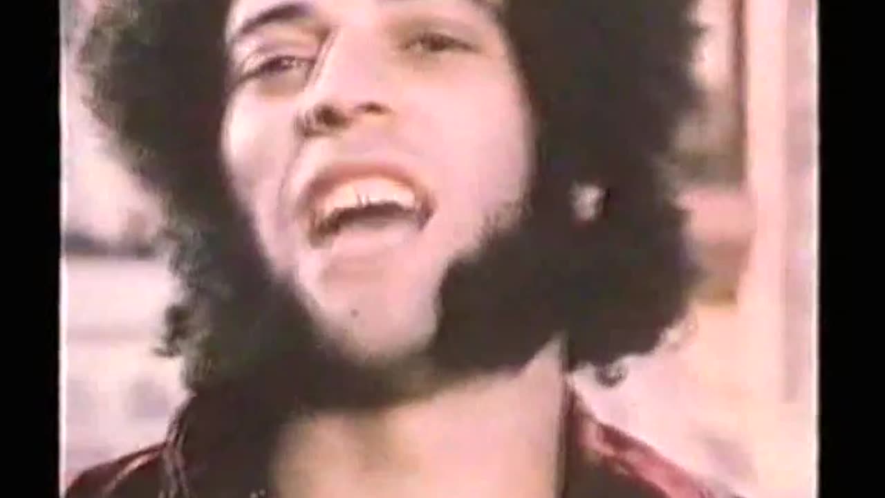 MUNGO JERRY - In the summertime