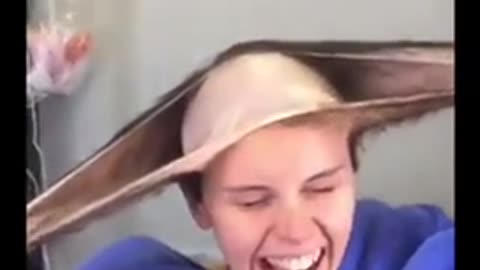 DO NOT BELIEVE ANYTHING YOU SEE ON TV