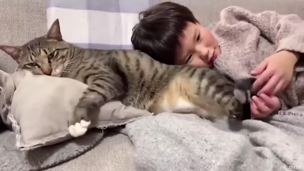 “Only Cat Owners Would Understand” Cute Cat & Human Share A Nap Together