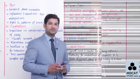LEC#15 MID BRAIN, HIND BRAIN, SPINAL CORD