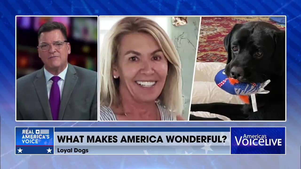 What Makes America Wonderful? 🐶