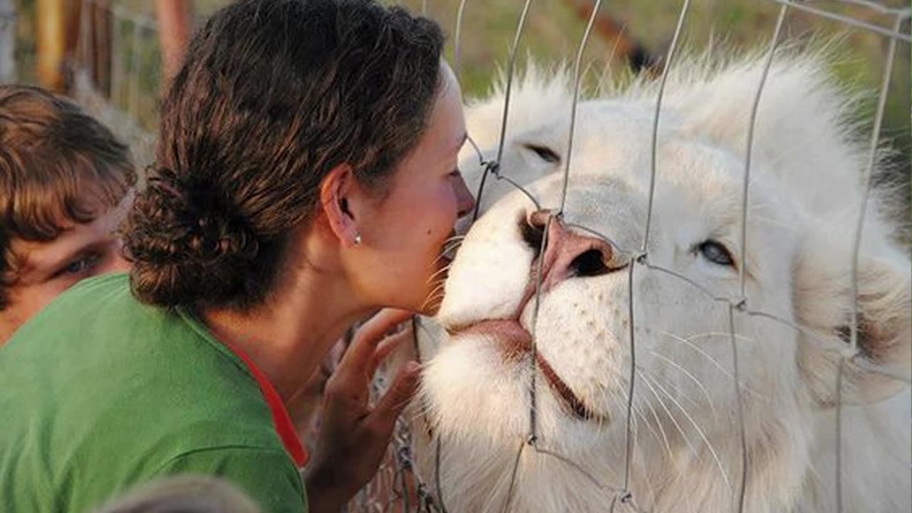 30 Dangerous Animals Caught Being Friendly !