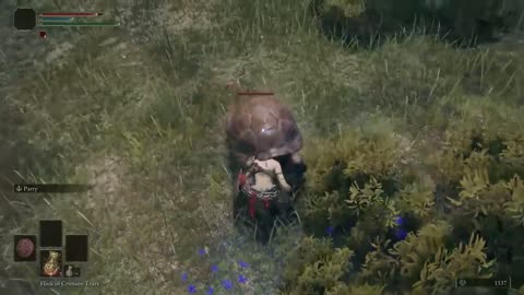 Elden Ring Easter Egg