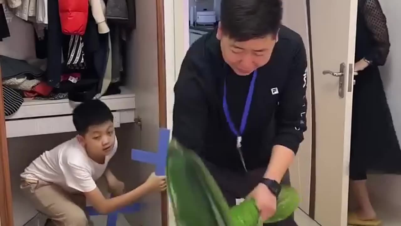 Funny video compilation