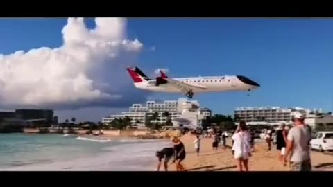 What amazing flight landing in beach