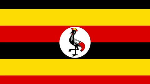 have you ever been to uganda