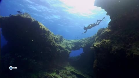 Real divers plunged under water