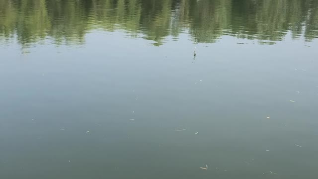 The river surface with waves and phosphorus can't see the edge at a glance