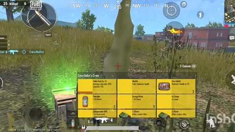 I want some thing crazy and i found this in pubg lote