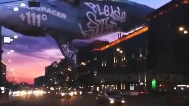 This is a beautiful and charming water-dwelling species