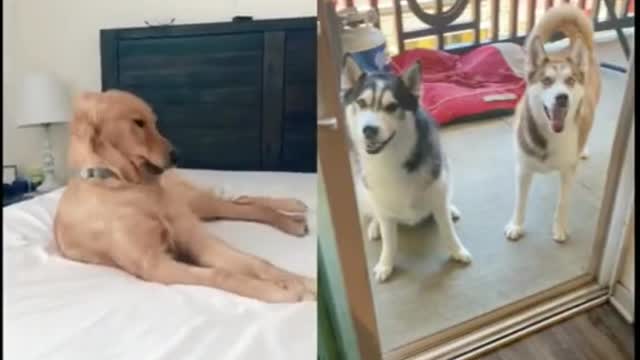 Which one you like🕺🕺🕺