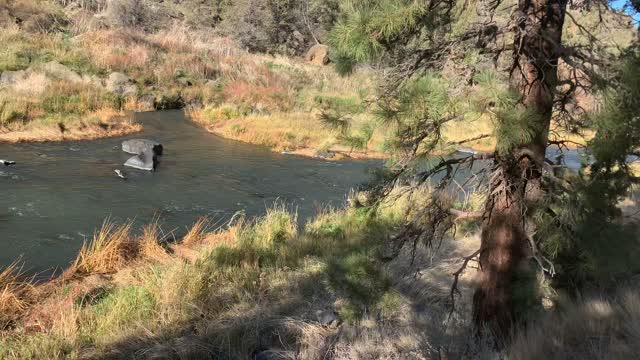 Central Oregon – Smith Rock State Park – Canyon & River Views – 4K