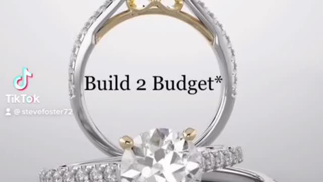 HS Foster Jewelry LLC “Build 2 Budget”